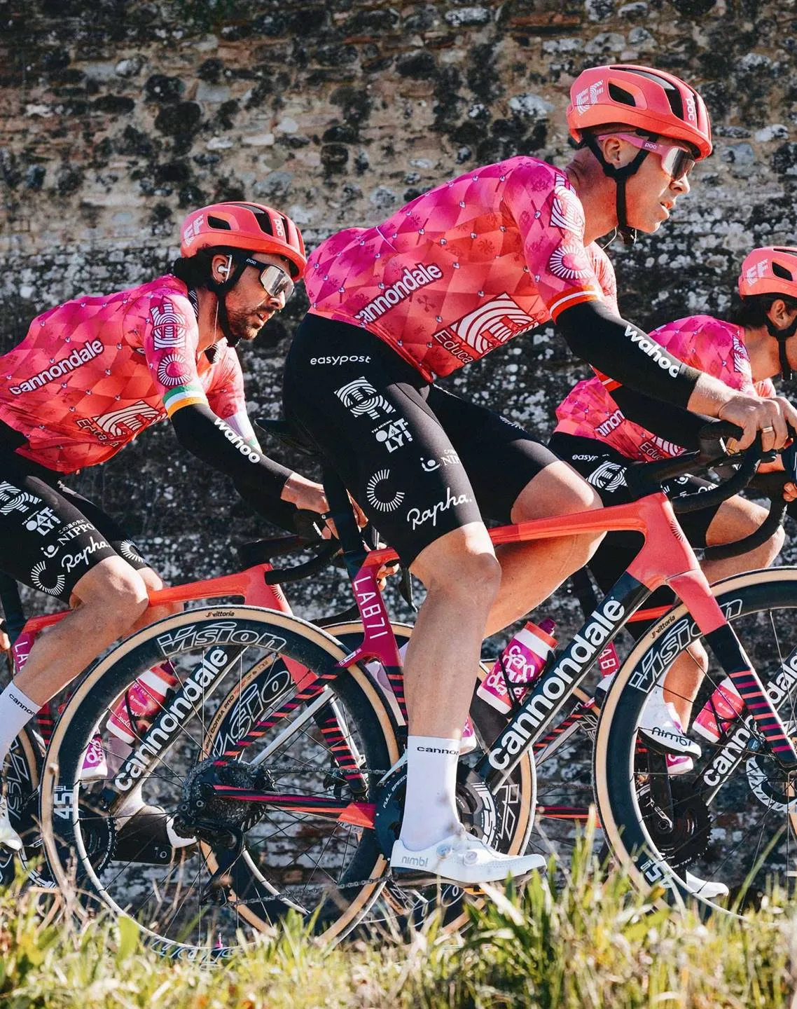 Dettaglio della forcella Cannondale